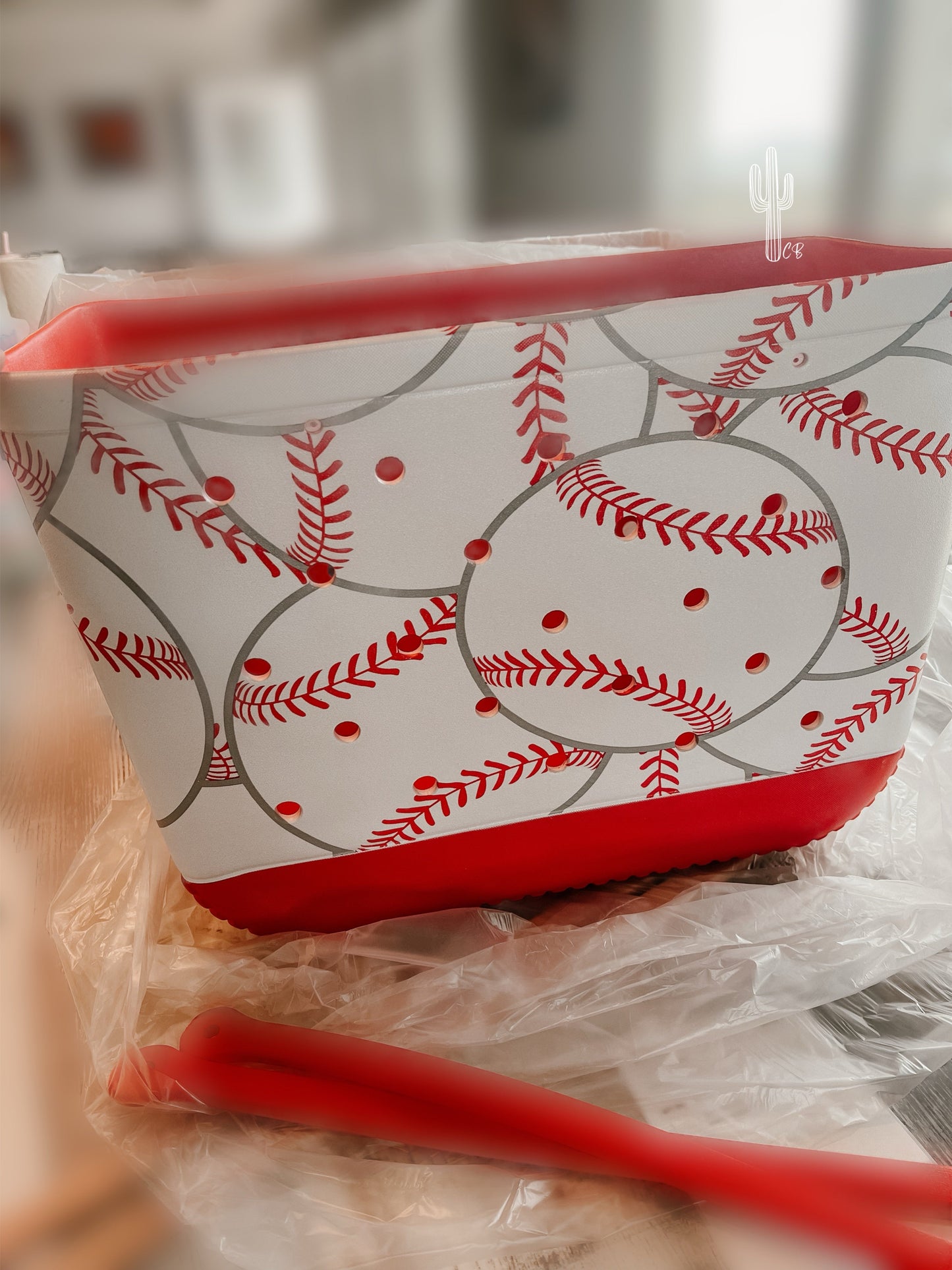 Beach Bag