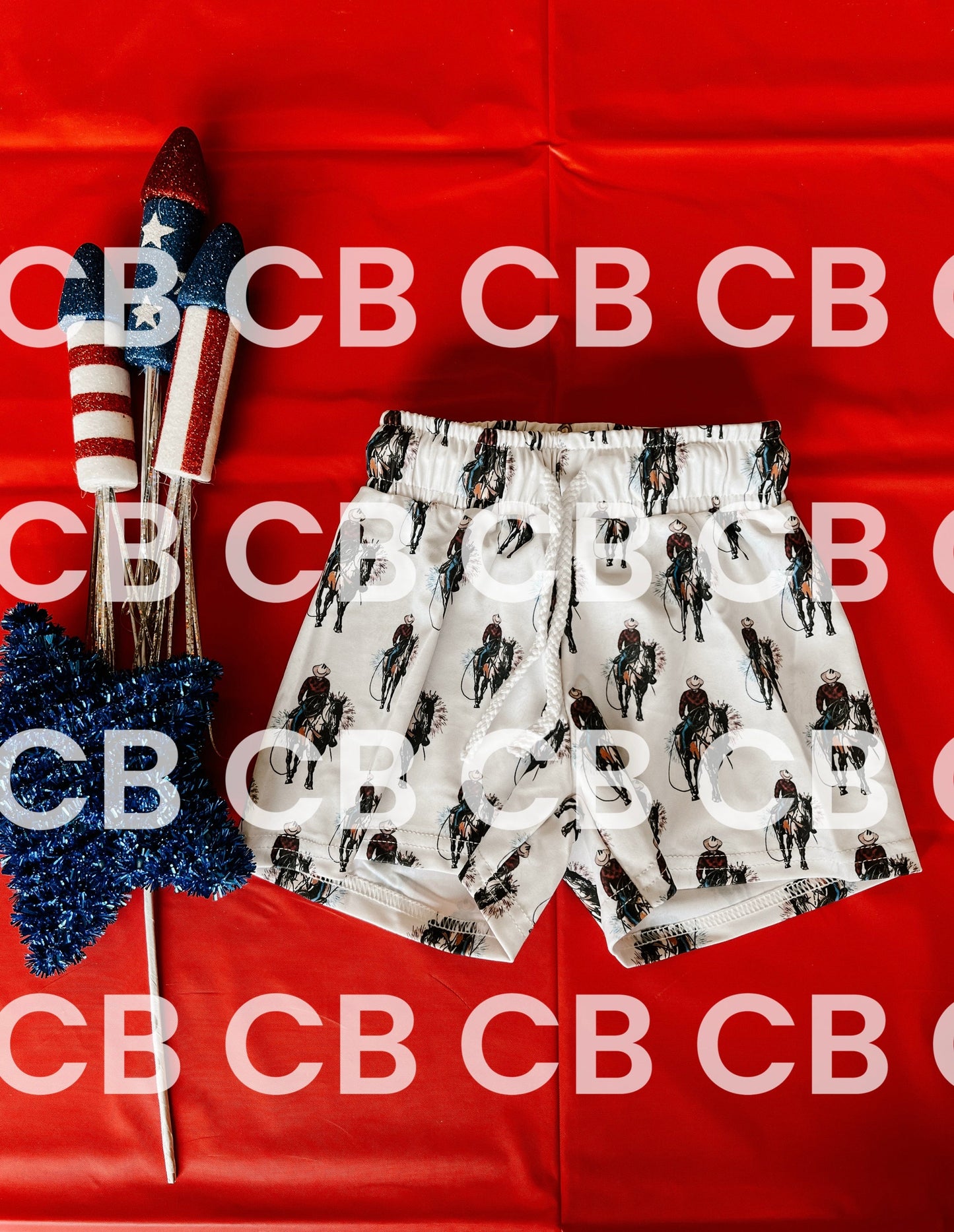 Boys Patriotic Swim Trunks